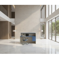 Recepción Ginza para Oficina – Funcionalidad, organización y diseño contemporáneo