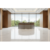 Muebles de recepción para oficina Dicca