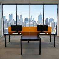 Estaciones de Trabajo TERRANIUS | Evolution Muebles