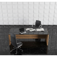 Escritorio Ejecutivo BLACK GLASS