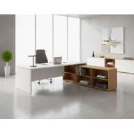 Escritorio de oficina ejecutivo con estantes