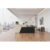 Mostrador de recepción DELTA