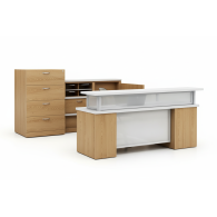 Muebles para recepción de oficina TALI