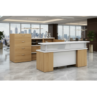 Muebles para recepción de oficina TALI