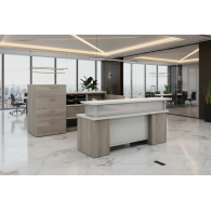 Muebles para recepción de oficina TALI