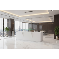 Recepción para oficina SOLEM