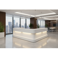 RECEPCIÓN EMERSON LIGTH