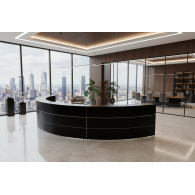 Recepción para oficina DOLANGE