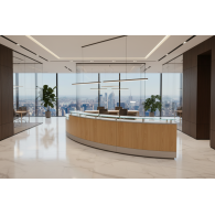 Recepción para oficina MUTAMBO