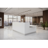 Mueble para recepción de oficina GOLD 2