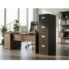 Archivero Evolution