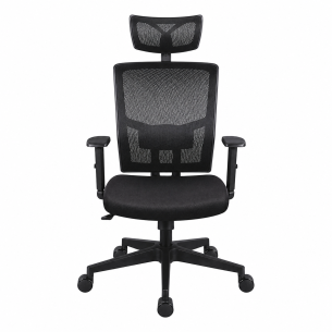 Silla Evolution