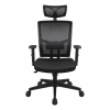 Silla Evolution
