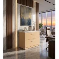 Archivero Ejecutivo Elite File 2 | Archivero Horizontal para Oficina con 2 Gavetas y Cerradura
