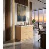 Archivero Ejecutivo Elite File 2 | Archivero Horizontal para Oficina con 2 Gavetas y Cerradura