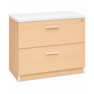 Archivero Ejecutivo Elite File 2 | Archivero Horizontal para Oficina con 2 Gavetas y Cerradura
