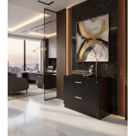 Archivero Ejecutivo Elite File 2 | Archivero Horizontal para Oficina con 2 Gavetas y Cerradura