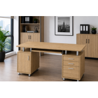 ESCRITORIO DE COMPUTADORA CON ALMACENAMIENTO Y CAJÓN DE ARCHIVO