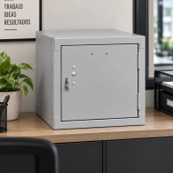 Locker Metálico Individual Modular 1 Puerta